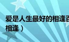 爱是人生最好的相逢百度云（爱是人生最好的相逢）
