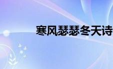 寒风瑟瑟冬天诗句（寒风瑟瑟）