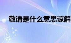 敬请是什么意思谅解（敬请是什么意思）