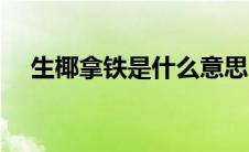 生椰拿铁是什么意思（拿铁是什么意思）