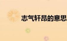 志气轩昂的意思（轩昂的意思）
