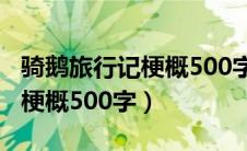 骑鹅旅行记梗概500字左右作文（骑鹅旅行记梗概500字）