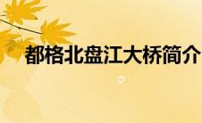 都格北盘江大桥简介（北盘江大桥简介）
