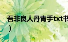吾非良人丹青手txt书包网（吾非良人丹青手）