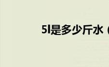5l是多少斤水（5l是多少斤）