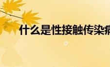 什么是性接触传染病（什么是性接触）