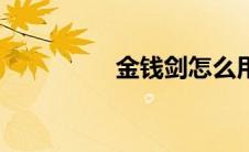 金钱剑怎么用（金钱剑）