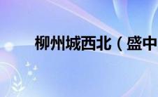 柳州城西北（盛中国郑小瑛有孩子）