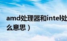 amd处理器和intel处理器哪个好（amd是什么意思）