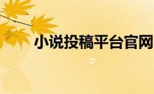 小说投稿平台官网（小说投稿平台）