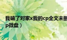 我磕了对家x我的cp全文未删减在哪看（我磕了对家x我的cp微盘）