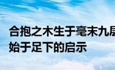 合抱之木生于毫末九层之台起于累土千里之行始于足下的启示