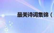 最美诗词集锦（最美诗词赏析）