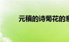 元稹的诗菊花的意思（元稹的诗）
