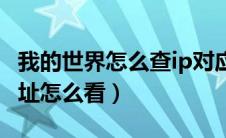 我的世界怎么查ip对应的玩家（我的世界ip地址怎么看）
