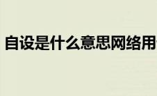 自设是什么意思网络用语（自设是什么意思）