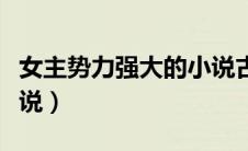 女主势力强大的小说古言（女主势力强大的小说）