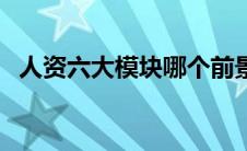 人资六大模块哪个前景好（人资六大模块）