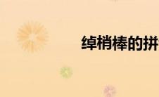 绰梢棒的拼音（梢棒）
