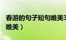 春游的句子短句唯美300句（春游的句子短句唯美）