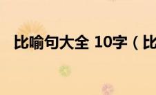 比喻句大全 10字（比喻句大全优美10字）