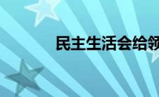 民主生活会给领导提什么意见