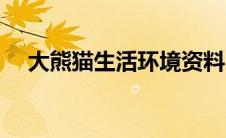 大熊猫生活环境资料（大熊猫生活环境）