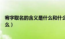 宥字取名的含义是什么和什么配字好（宥字取名的含义是什么）