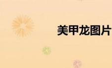 美甲龙图片（美甲龙）