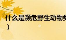 什么是濒危野生动物类（什么是濒危野生动物）