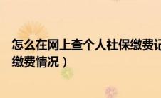 怎么在网上查个人社保缴费记录（如何在网上查询个人社保缴费情况）