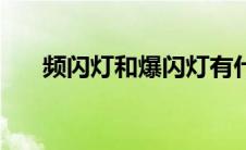 频闪灯和爆闪灯有什么区别（频闪灯）