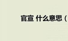 官宣 什么意思（官宣什么意思）
