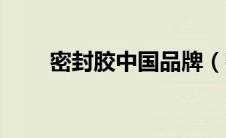 密封胶中国品牌（密封胶品牌排名）