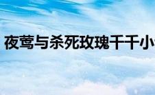 夜莺与杀死玫瑰千千小说（夜莺与杀死蔷薇）