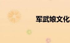 军武娘文化（军武娘）