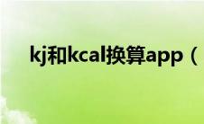 kj和kcal换算app（kj和kcal如何换算）