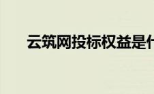 云筑网投标权益是什么（云筑网投标）