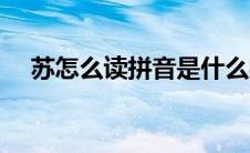 苏怎么读拼音是什么字（苏怎么读拼音）