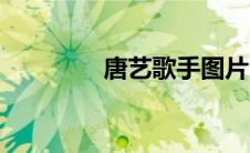 唐艺歌手图片（唐艺歌手）