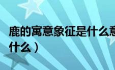 鹿的寓意象征是什么意思（鹿的寓意和象征是什么）