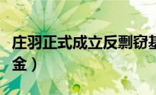庄羽正式成立反剽窃基金（庄羽成立反剽窃基金）