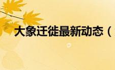 大象迁徙最新动态（大象迁徙最新情况）