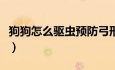 狗狗怎么驱虫预防弓形虫感染（狗狗怎么驱虫）