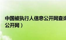 中国被执行人信息公开网查询系统官网（中国被执行人信息公开网）