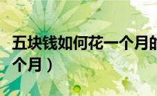 五块钱如何花一个月的流量（五块钱如何花一个月）