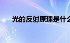 光的反射原理是什么（光的反射原理）
