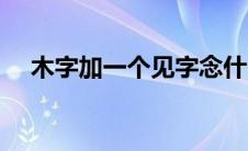 木字加一个见字念什么（木加见念什么）