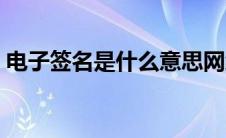 电子签名是什么意思网络（电子签名是什么）
