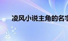 凌风小说主角的名字（凌风小说主角）